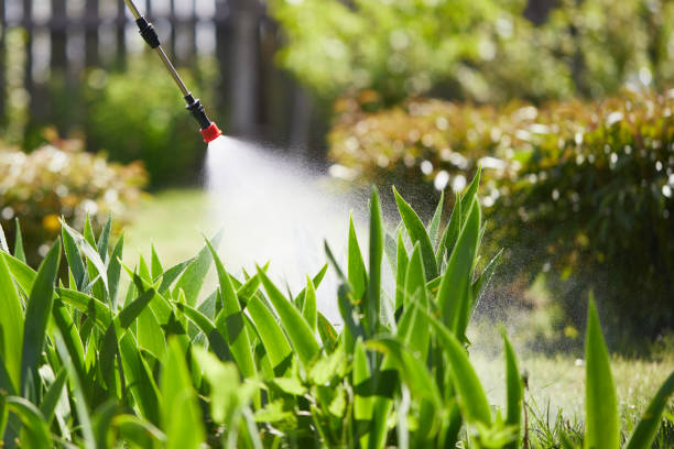 24/7 Emergency Wasp Removal experts in Baudette, MN