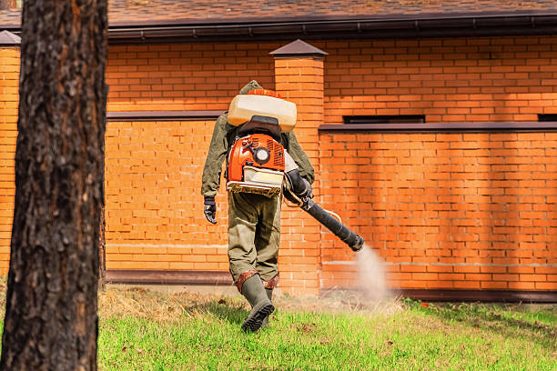 Top rated local Wasp Removal specialists in Baudette, MN